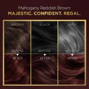 Bblunt Salon Secret High Shine Conditioning Hair Colour - Mahogany Reddish Brown 4.56 (130 g)