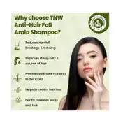 TNW The Natural Wash Amla Shampoo (200ml)