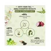 TNW The Natural Wash Amla Shampoo (200ml)