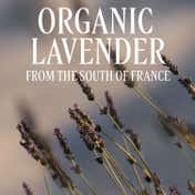 L'occitane Lavande Lavender Eau De Toilette Unisex Perfume (75 ml)