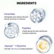Sereko Ceramide and Peptide 100H Moisturiser Water Gel for Deep Hydration (50 ml)