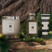 Jo Malone London English Oak & Hazelnut Cologne (100ml)