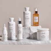 Keune Care Derma Sensitive Complete Haircare Range