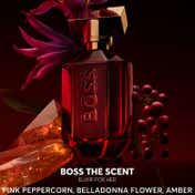 Hugo Boss The Scent Elixir Parfum Intense for Her (50 ml)