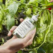 Maison Margiela From The Garden EDT (100 ml)