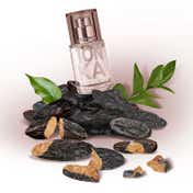 SOLINOTES Tonka Eau de Parfum (15 ml)
