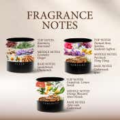 Seva Home The Vibes Classic Sleep Candle (3 Pcs)