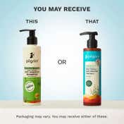 Pilgrim Australian Tea Tree Non-Drying Anti-Dandruff Shampoo (200 ml)