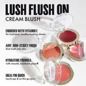 FOCALLURE Lush Flush On Cream Blush - PK04 My Tease (4 g)