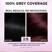 LOreal Paris New Excellence Creme Hair Color With Hyaluronic Acid, 3.16 Burgandy, (100gm + 72ml)