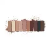 Wet n Wild New Color Icon 10 Pan Eyeshadow Palette - Nude Awakening (10 g)