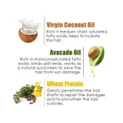 WOW SKIN SCIENCE Coconut and Avocado Hair Conditioner (300ml)