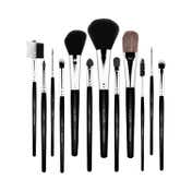 Allure Makeup Brush Set MBS-12 (Pack of 12)