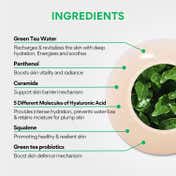 Innisfree Green Tea Seed Cream – Hydrating & Soothing Moisturizer With Hyaluronic Acid (50 ml)