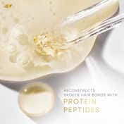 Dove Peptide Bond Strength Shampoo (650 ml)