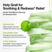 Anua Azelaic 10 Hyaluron Redness Soothing Pad (230 ml)