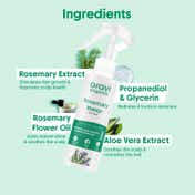 Aravi Organic Rosemary Water Spray For Promotes Healthy Boosts Growth and Thicker Hair (100 ml)