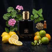 Trussardi Uomo Eau De Toilette for Men (200 ml)