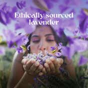 LOVE beauty AND planet Argan Oil and Lavender Sulphate Free Conditioner for Dry & Frizzy hair (400 ml)