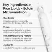 The Ordinary Rice Lipids + Ectoin Microemulsion (60 ml)