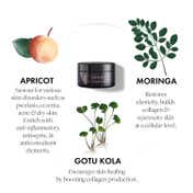 Purearth Pola Mandarin Body Butter Intense Moisture Melt (200 g)