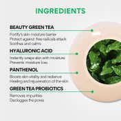 Innisfree Green Tea Hyaluronic Lotion – Lightweight & Refreshing Care (170 ml)