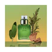 Calvin Klein Eternity Eau De Parfum - (100 ml)