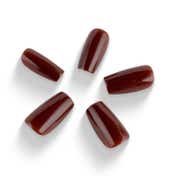 RENEE Stick On Nails - Glossy Nails 10 (Pack of 30)
