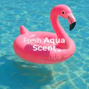Foxtale Aqua Plunge Hydrating Body Wash (250 ml)