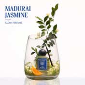 Secret Alchemist Madurai Jasmine Eau De Parfum for Women (100 ml)