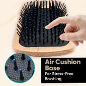 Vega Premium Collection Paddle Hair Brush for Men & Women, for Long, Thick & Curly Hair (E1-PB)