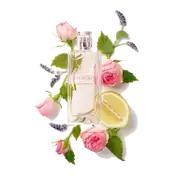 Yves Rocher Comme Une Evidence L'Eau De Parfum (100ml)