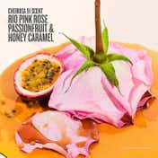 Sol de Janeiro Rosa Charmosa Dewy Body Cream (240 ml)