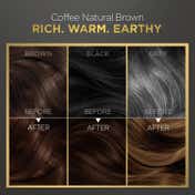 BBlunt Salon Secret High Shine Conditioning Hair Colour - 4.31 Coffee Natural Brown (130 g)