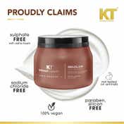 KT Professional Brazilian Silk Hair Masque (500 ml)