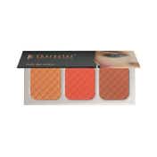Character 3 Color Blusher - NTE005 (39 g)