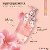 &honey Melty Moist Repair Shampoo 1.0 (440 ml)