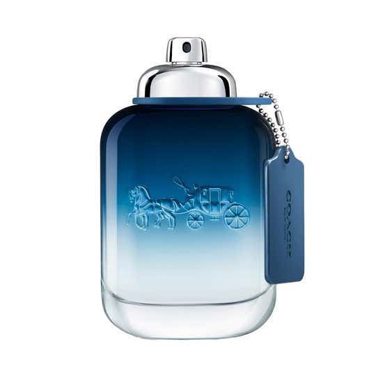 Coach Blue Eau De Toilette (100ml)