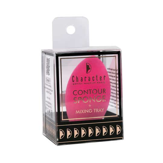 Character Sponge With Tray - CST001