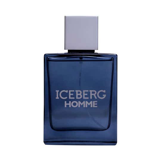 Iceberg Homme Eau De Toilette for Men (100 ml)