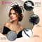 Majestique Elegant Fascinator Hat with Mesh Veil and Feather - Black