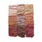 Anastasia Beverly Hills Eyeshadow Palette Mini - Modern Renaissance (7.56g)