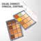Daily Life Forever52 Academic 12 Color Concealer Palette - FAC702 (24 g)