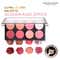Makeup Revolution Ultra Blush Palette - Sugar and Spice (12.8g)