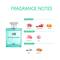 AND Mystique Elegance Eau De Parfum & Serene Bliss Body Mist (250 ml) - (Pack Of 2)
