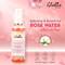 Globus Naturals Rose & Cucumber Facial Skin Toner Combo With Goodness Of Aloe Vera Extract (100 ml)