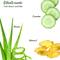 THE LOVE CO. Aloe Cucumber Gel For Really Refreshing & Soothing Skin (250ml)
