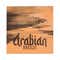 Daily Life Forever52 16 Color Eyeshadow Palette Arabian Breeze BRZ001 (24gm)