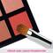 Vega Eye Shadow for Blend Eye Shadow Perfect Finish Eye Makeup Brush (PB-06) (8 g)