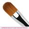 Vega Eye Shadow for Blend Eye Shadow Perfect Finish Eye Makeup Brush (PB-06) (8 g)